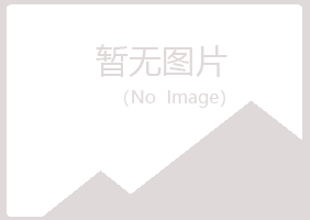 保山字迹会计有限公司